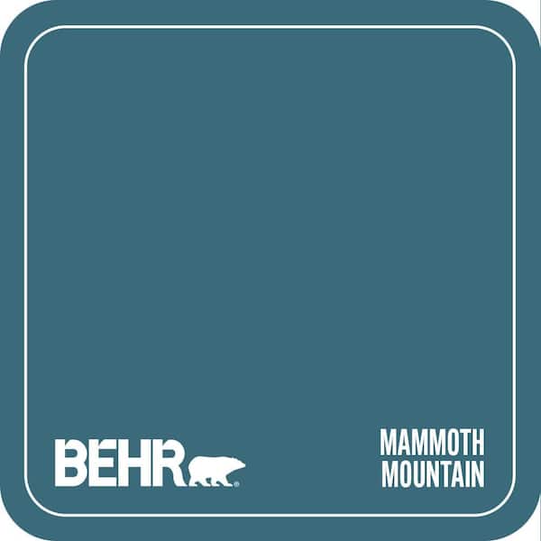 S460-6 Mammoth Mountain Paint
