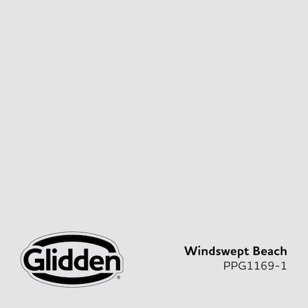 Windswept Beach PPG1169-1 Paint