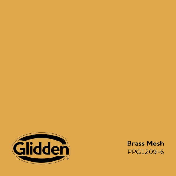 Brass Mesh PPG1209-6 Paint