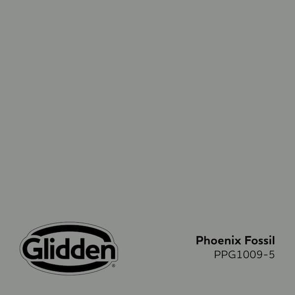 Phoenix Fossil PPG1009-5 Paint