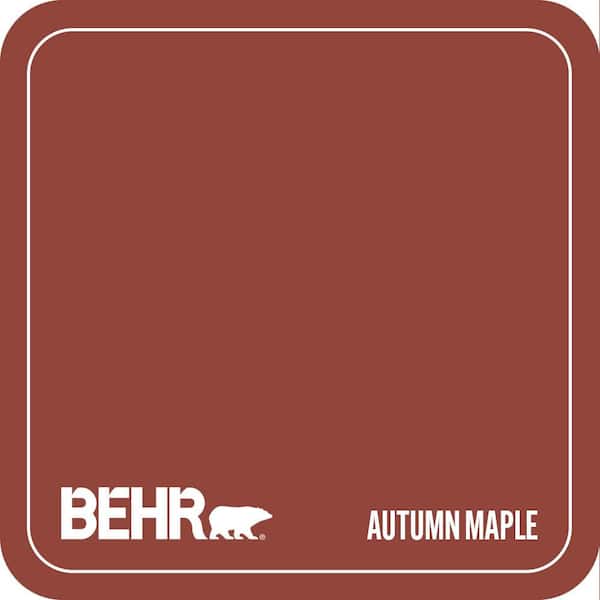 PMD-21 Autumn Maple Paint