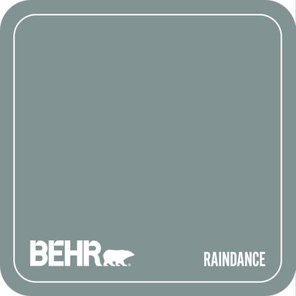 QE-53 Raindance Paint
