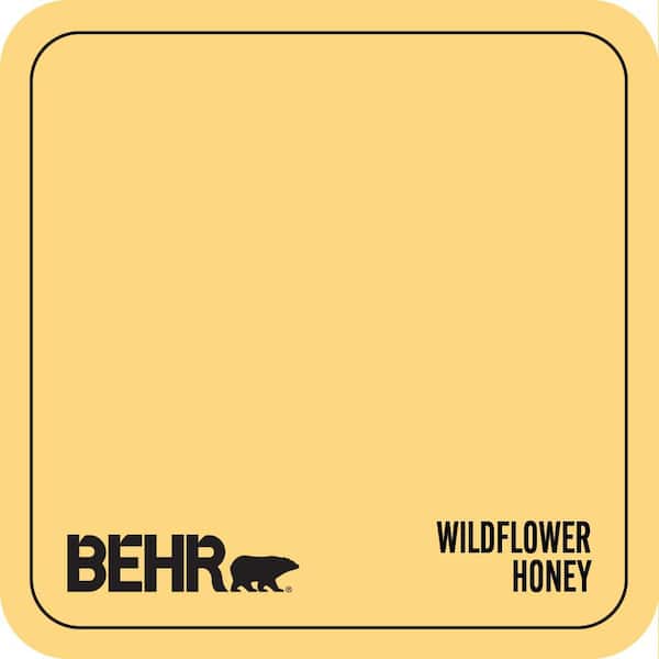 350B-6 Wildflower Honey Paint