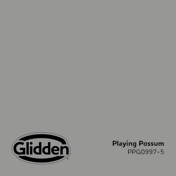 Playing Possum PPG0997-5 Paint