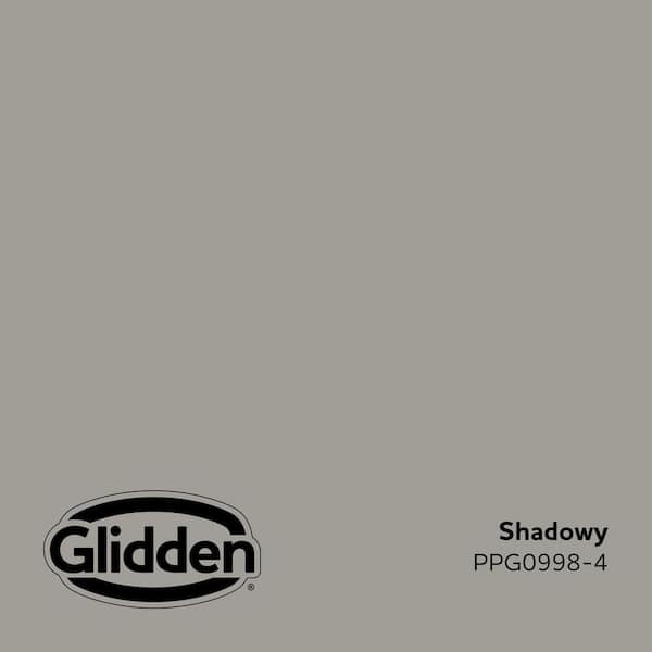 Shadowy PPG0998-4 Paint