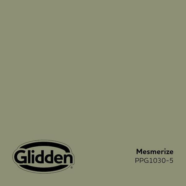 Mesmerize PPG1030-5 Paint