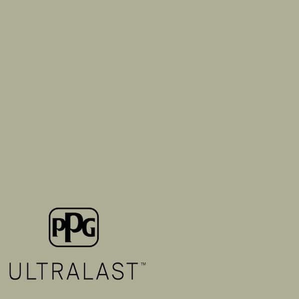 Photo Gray PPG1029-4  Paint and Primer_UL