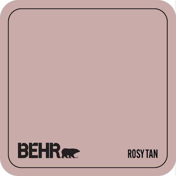 130E-3 Rosy Tan Paint