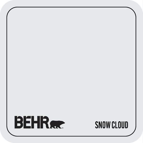 PPL-54 Snow Cloud Paint