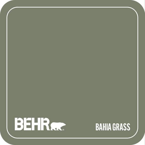 430F-5 Bahia Grass Paint