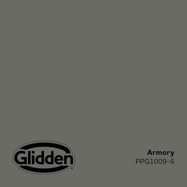 Armory PPG1009-6 Paint