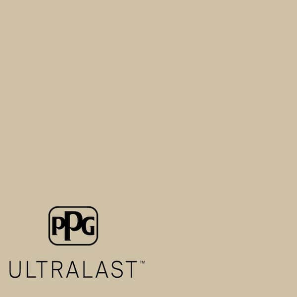 Stylish PPG1101-3  Paint and Primer_UL