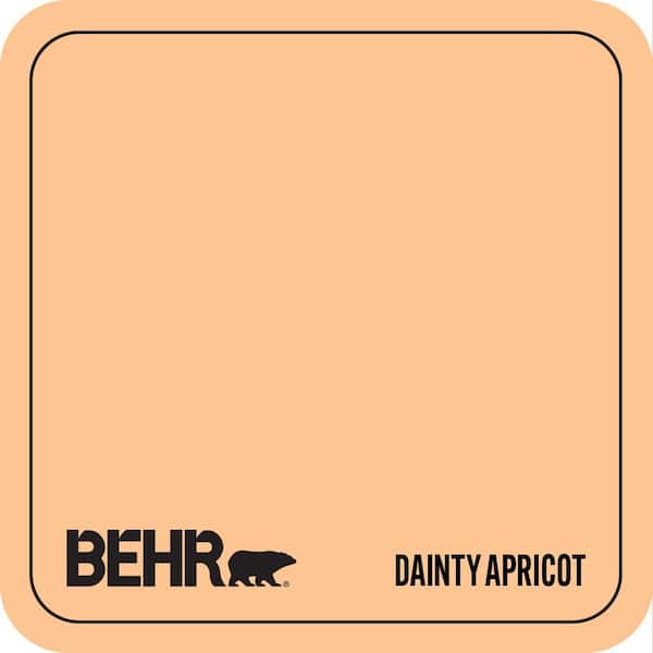 P220-4 Dainty Apricot Paint