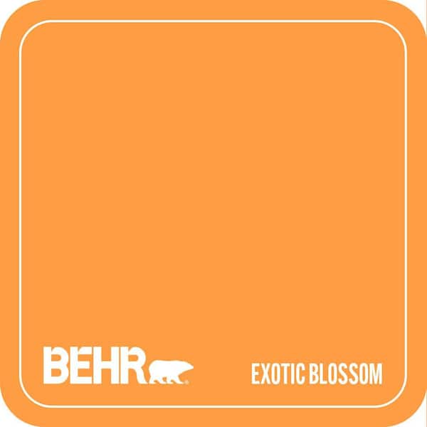 P240-6 Exotic Blossom Paint