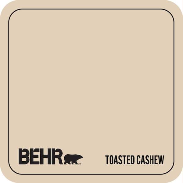 PWN-66 Toasted Cashew Paint