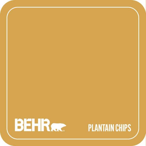 M290-6 Plantain Chips Paint