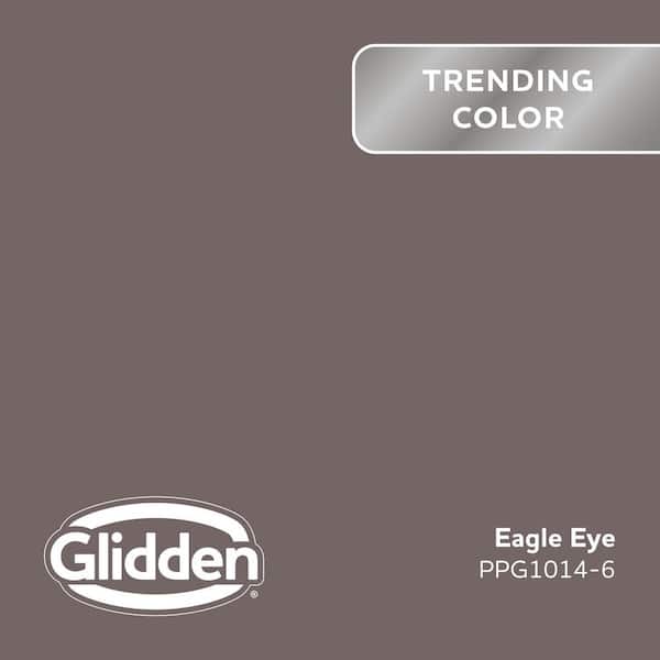 Eagle Eye PPG1014-6 Paint