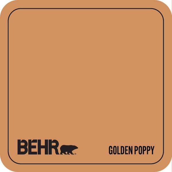 BIC-15 Golden Poppy Paint