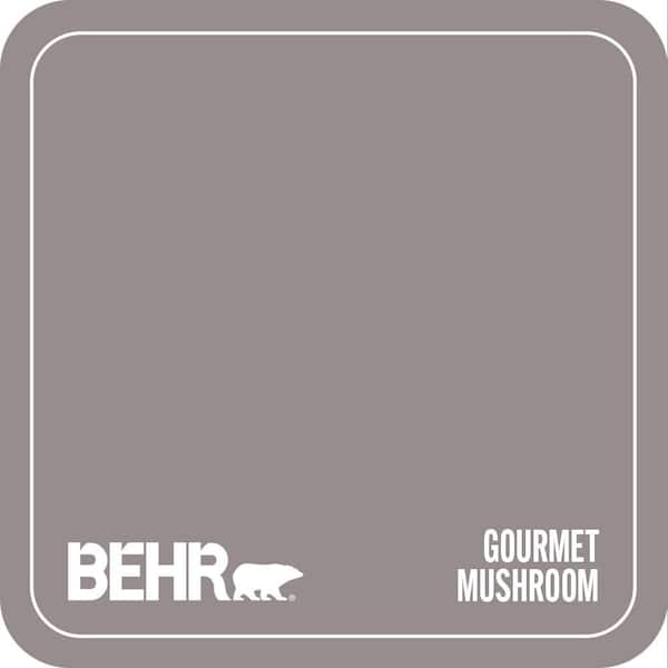 BNC-10 Gourmet Mushroom Paint