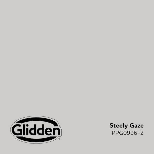 Steely Gaze PPG0996-2 Paint