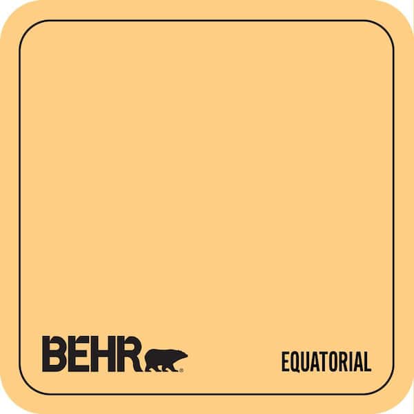 P250-4 Equatorial Paint