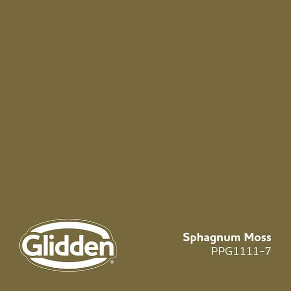 Sphagnum Moss PPG1111-7 Paint