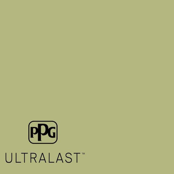 Fancy Flirt PPG1119-5  Paint and Primer_UL