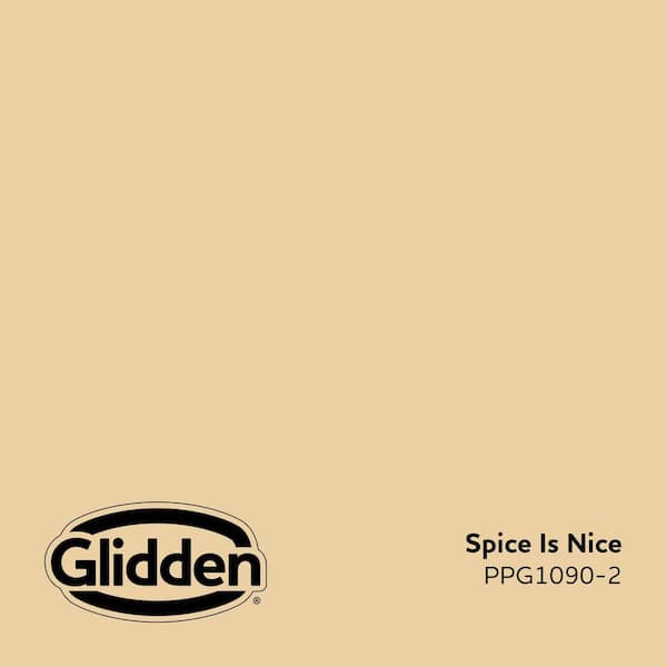 Spice Is Nice PPG1090-2 Paint