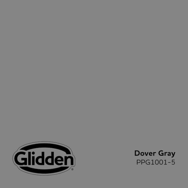 Dover Gray PPG1001-5 Paint