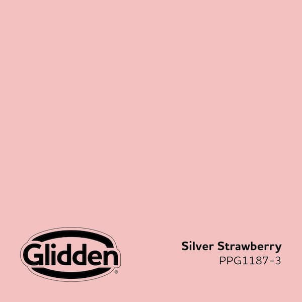 Silver Strawberry PPG1187-3 Paint
