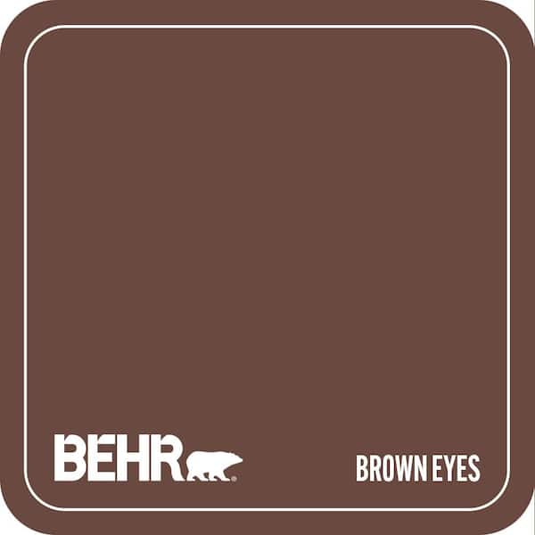 S-G-740 Brown Eyes Paint