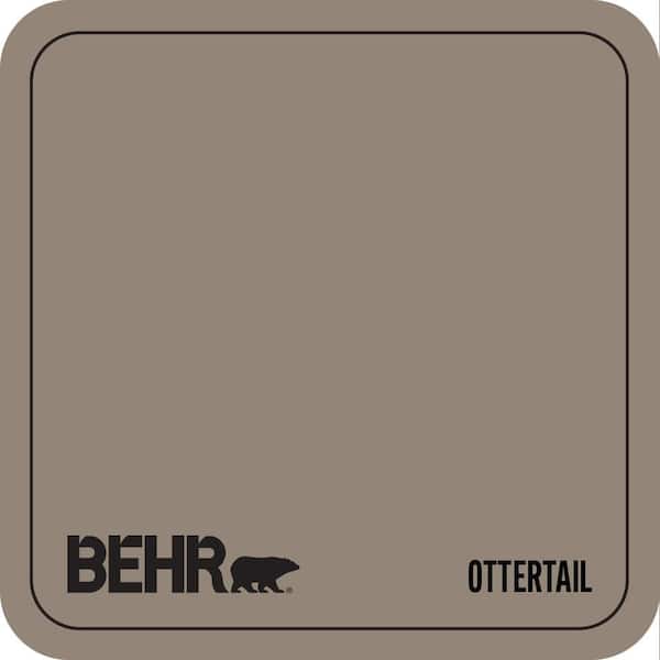 N220-5 Ottertail Paint