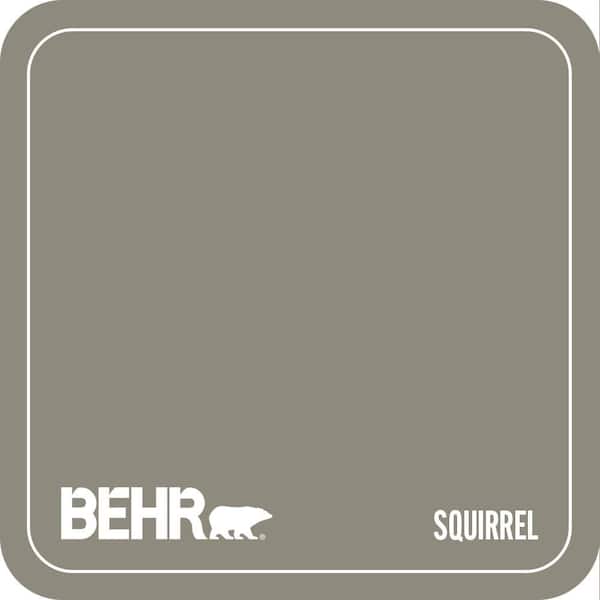790D-5 Squirrel Paint