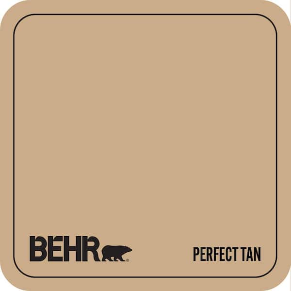 N280-4 Perfect Tan Paint