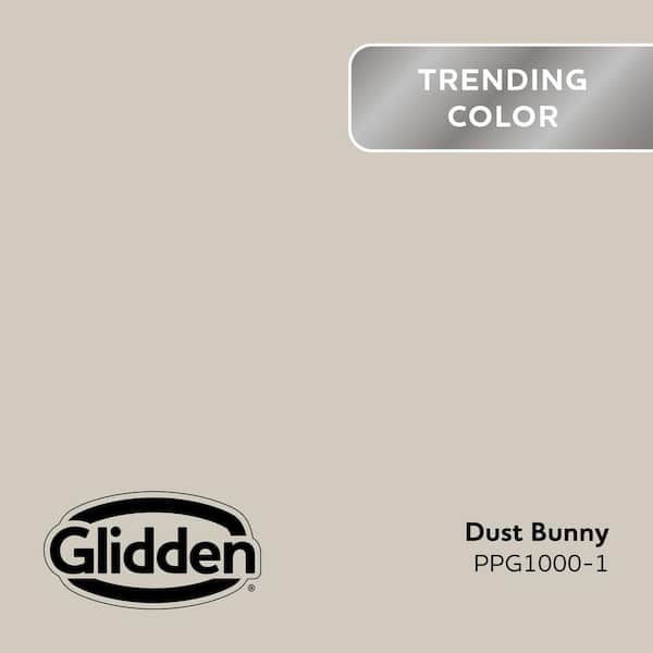 Dust Bunny PPG1000-1 Paint