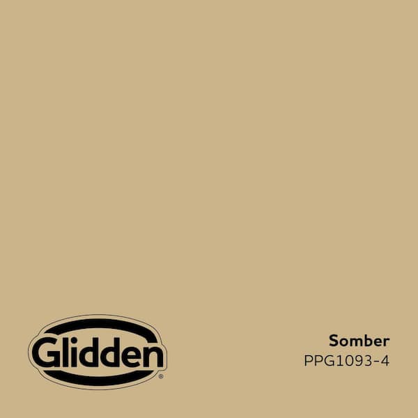 Somber PPG1093-4 Paint