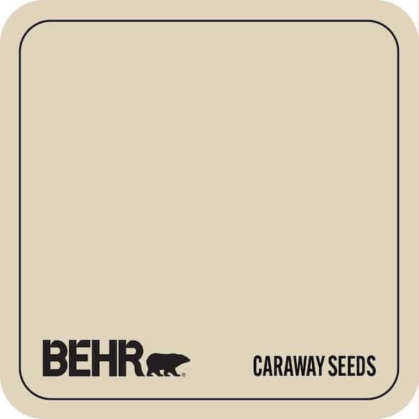 S330-2 Caraway Seeds Paint