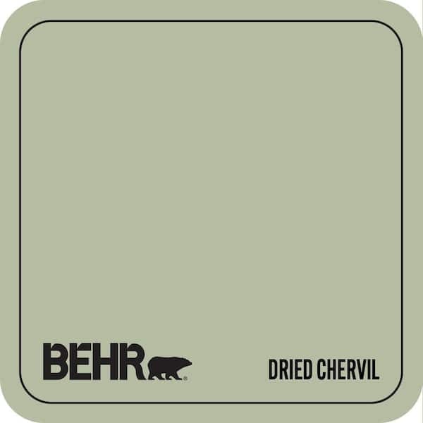 ICC-105 Dried Chervil Paint