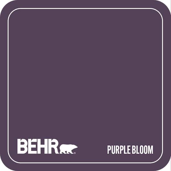 S-H-680 Purple Bloom Paint