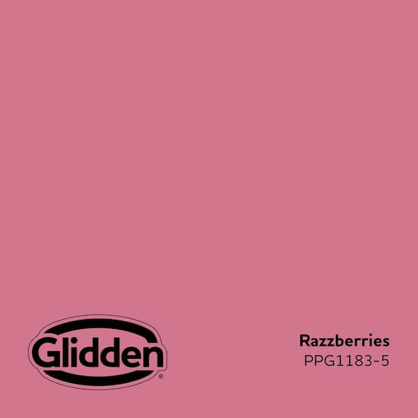 Razzberries PPG1183-5 Paint