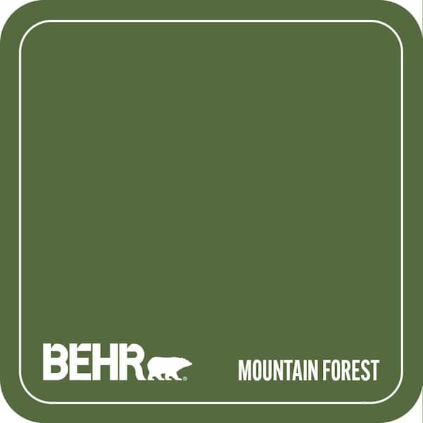 410D-7 Mountain Forest Paint