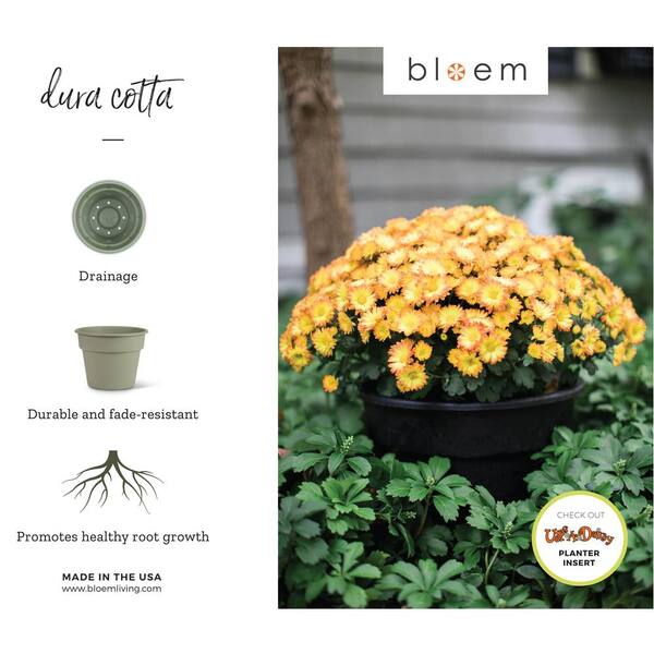 Details about   Bloem Dura Cotta Planter 