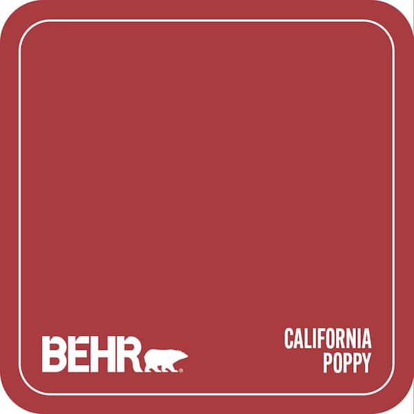 S-G-160 California Poppy Paint