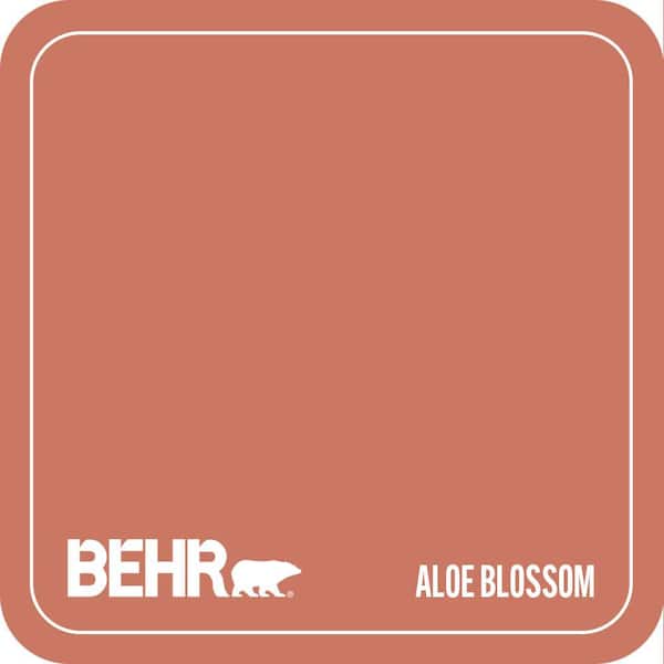 MQ4-33 Aloe Blossom Paint