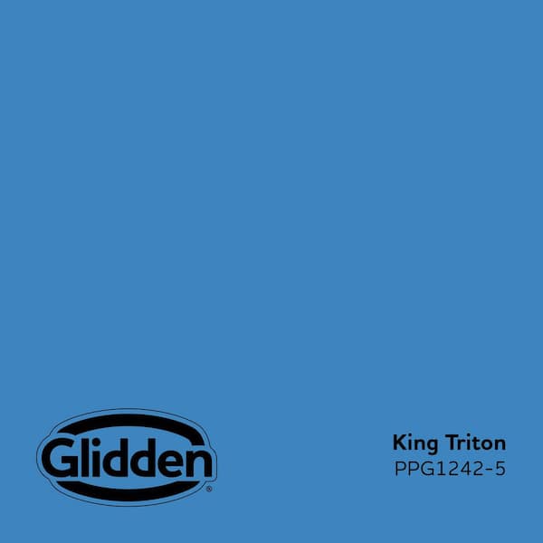 King Triton PPG1242-5 Paint