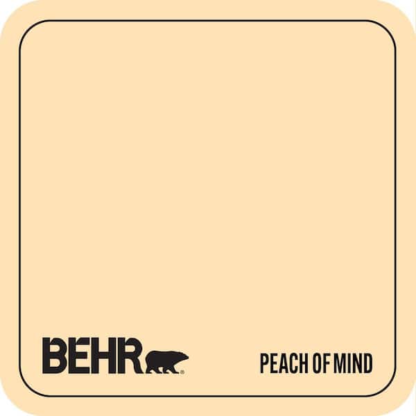 CE-04 Peach of Mind Paint