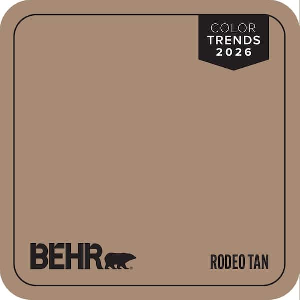 N240-5 Rodeo Tan Paint