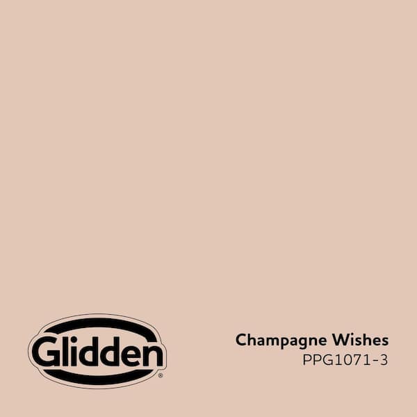 Champagne Wishes PPG1071-3 Paint