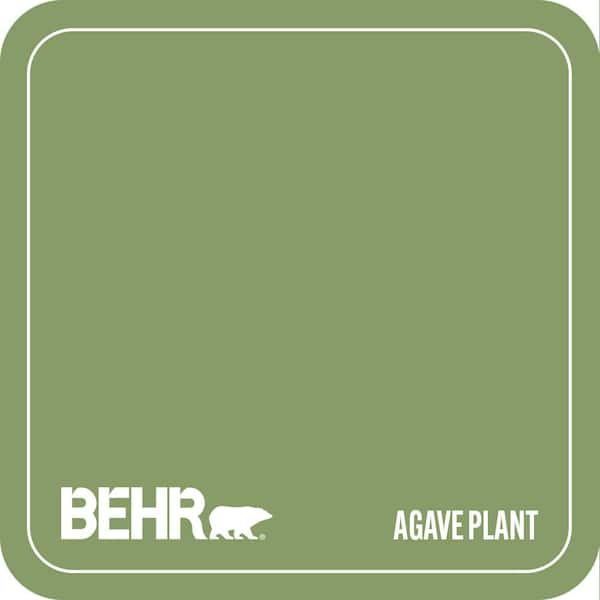 M370-5 Agave Plant Paint