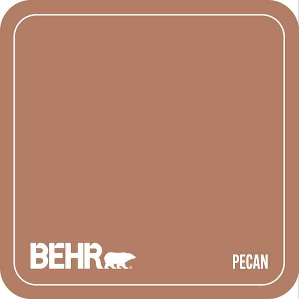PMD-84 Pecan Paint
